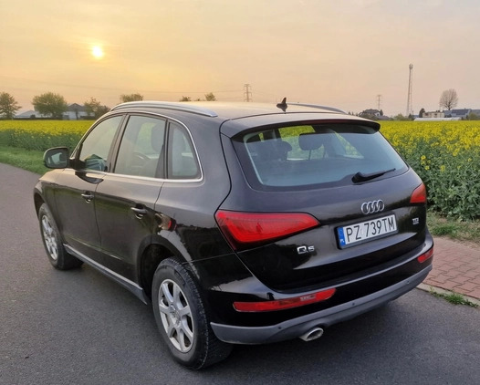 Audi Q5 cena 58900 przebieg: 206000, rok produkcji 2013 z Kolbuszowa małe 56